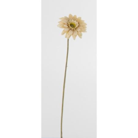 特価◎【造花】ビダヤコム/クラシックショートガーベラ ベージュ/V25110-013BEIGE
