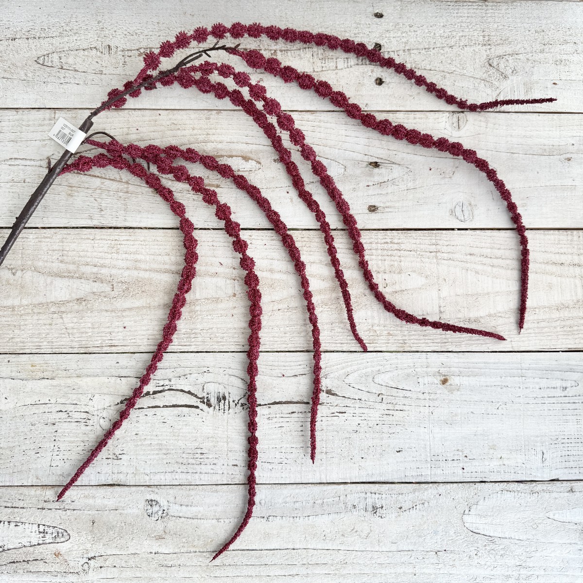 即日★【造花】ビダヤコム/アマランサス バーガンディ/V25111-007BUR