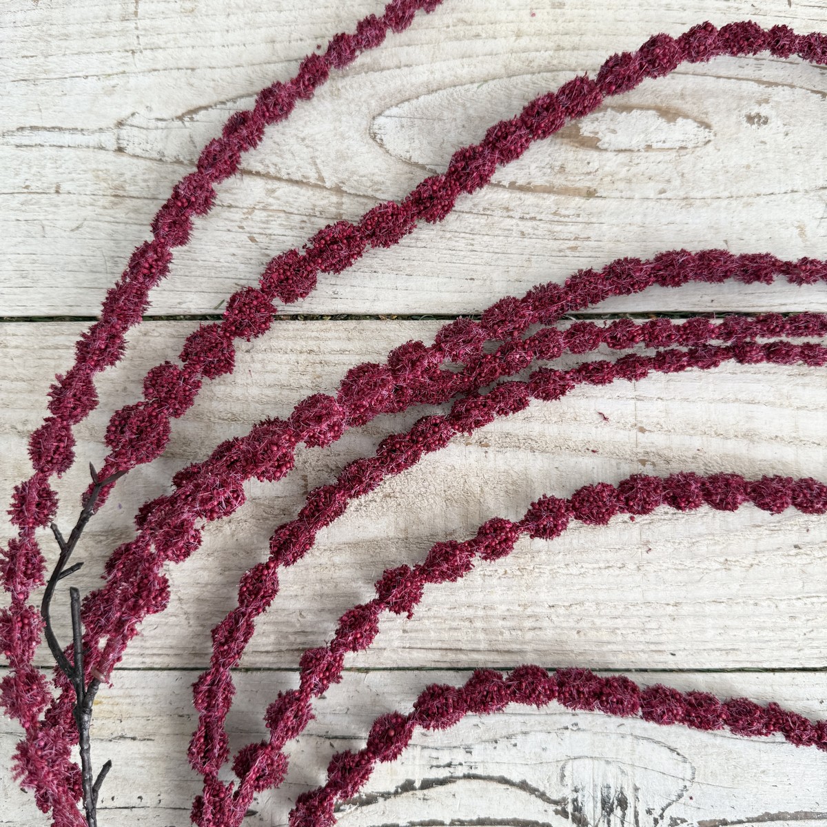 即日★【造花】ビダヤコム/アマランサス バーガンディ/V25111-007BUR