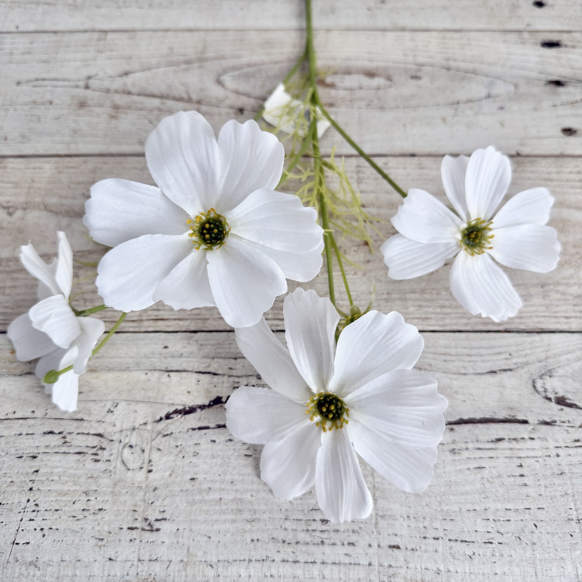 即日★【造花】ビダヤコム/コスモス ホワイト/V23137-001W