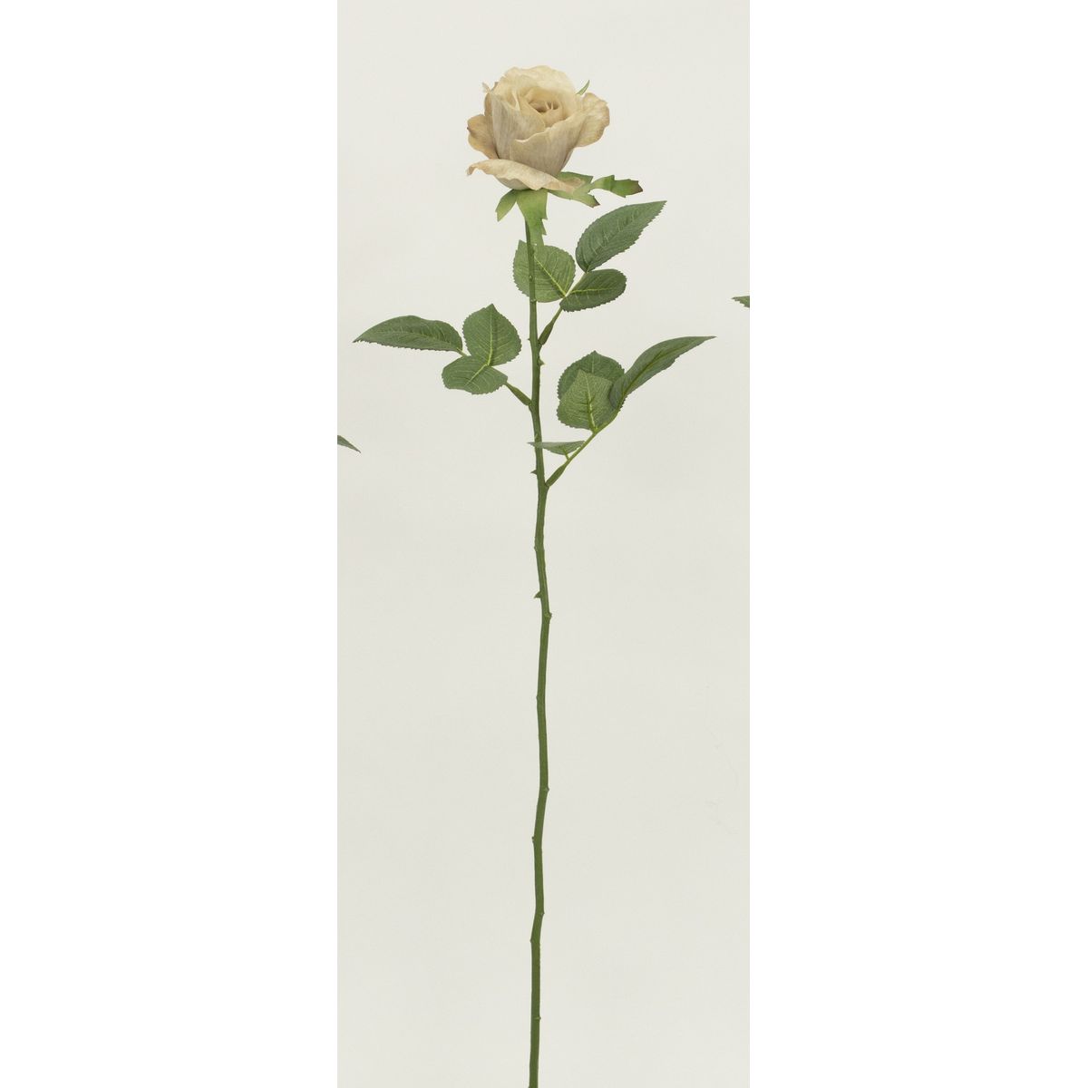 特価◎【造花】ビダヤコム/フレアローズ(S) ベージュ/F5060-013BEIGE