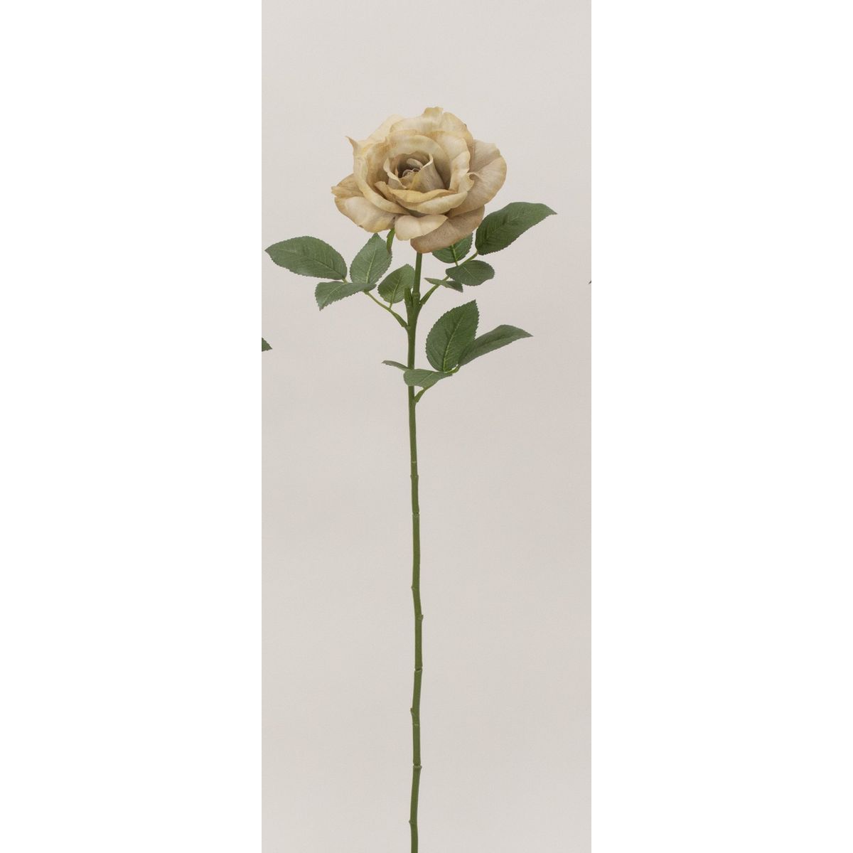 特価◎【造花】ビダヤコム/フレアローズ(L) ベージュ/F5061-013BEIGE