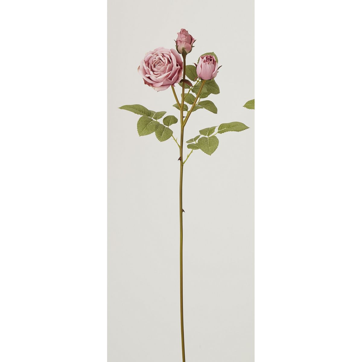 特価◎【造花】ビダヤコム/ピエールローズ モーブ/P4846-042MAU