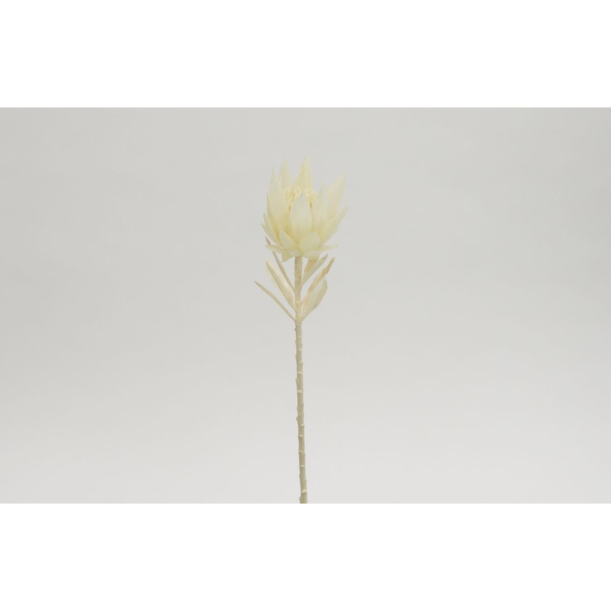 特価◎【造花】ビダヤコム/シャビープロティア ホワイト/V22076-001W