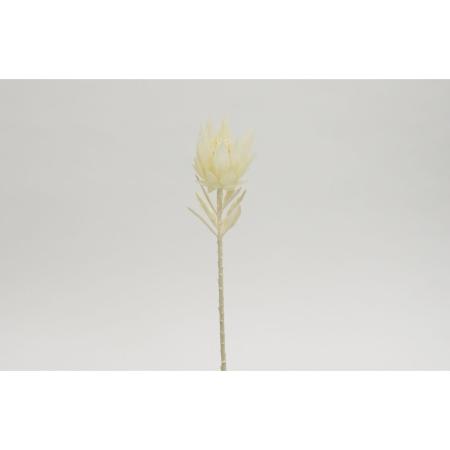 特価◎【造花】ビダヤコム/シャビープロティア ホワイト/V22076-001W