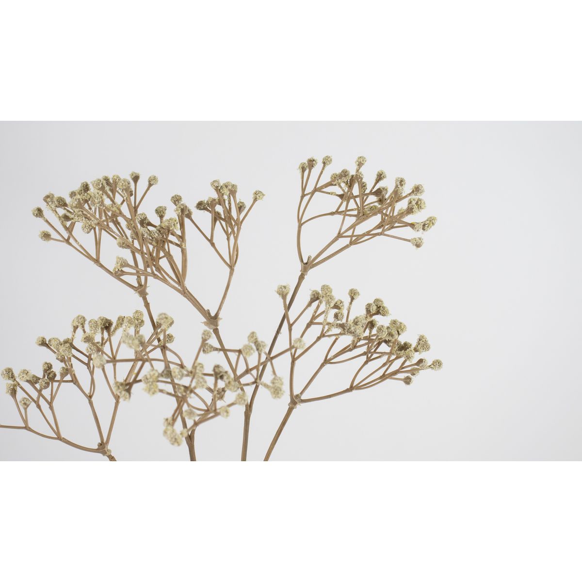 特価◎【造花】ビダヤコム/ドライジプソスプレー ベージュ/V25106-013BEIGE