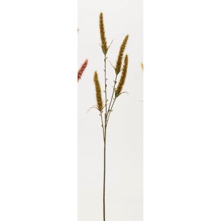 特価◎【造花】ビダヤコム/ドライフォックステールスプレー グリーン/FD3461-024G