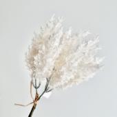 即日★【造花】ビダヤコム/パンパスの束(3本/束) クリーム/V25119-037C