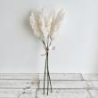 即日★【造花】ビダヤコム/パンパスの束(3本/束) クリーム/V25119-037C