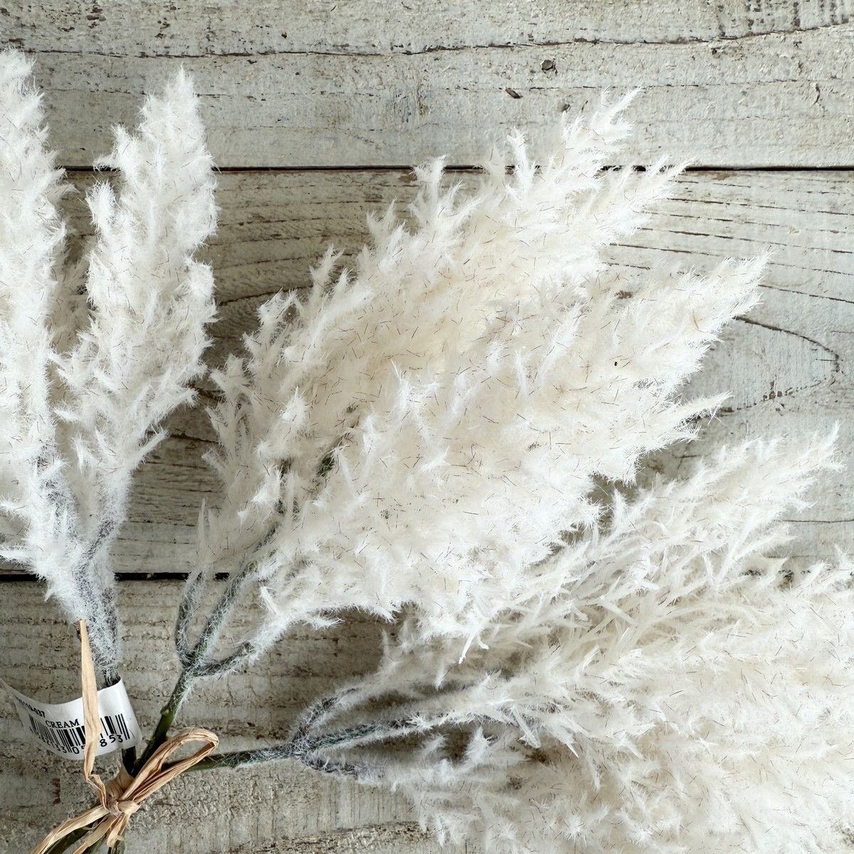 即日★【造花】ビダヤコム/パンパスの束(3本/束) クリーム/V25119-037C