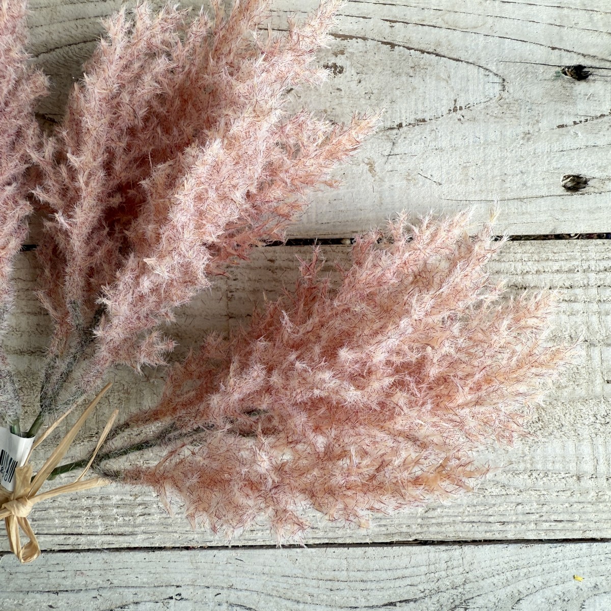 即日★【造花】ビダヤコム/パンパスの束(3本/束) ピンク/V25119-002P