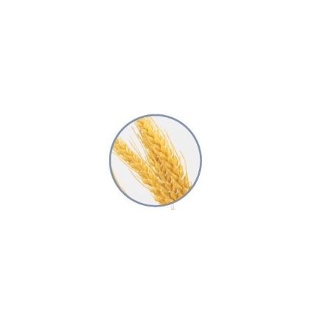 特価◎【造花】ビダヤコム/麦の穂(3本/束) ブラウン/VR22121-008BR