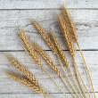 即日★【造花】ビダヤコム/麦の穂(3本/束) ブラウン/VR22121-008BR