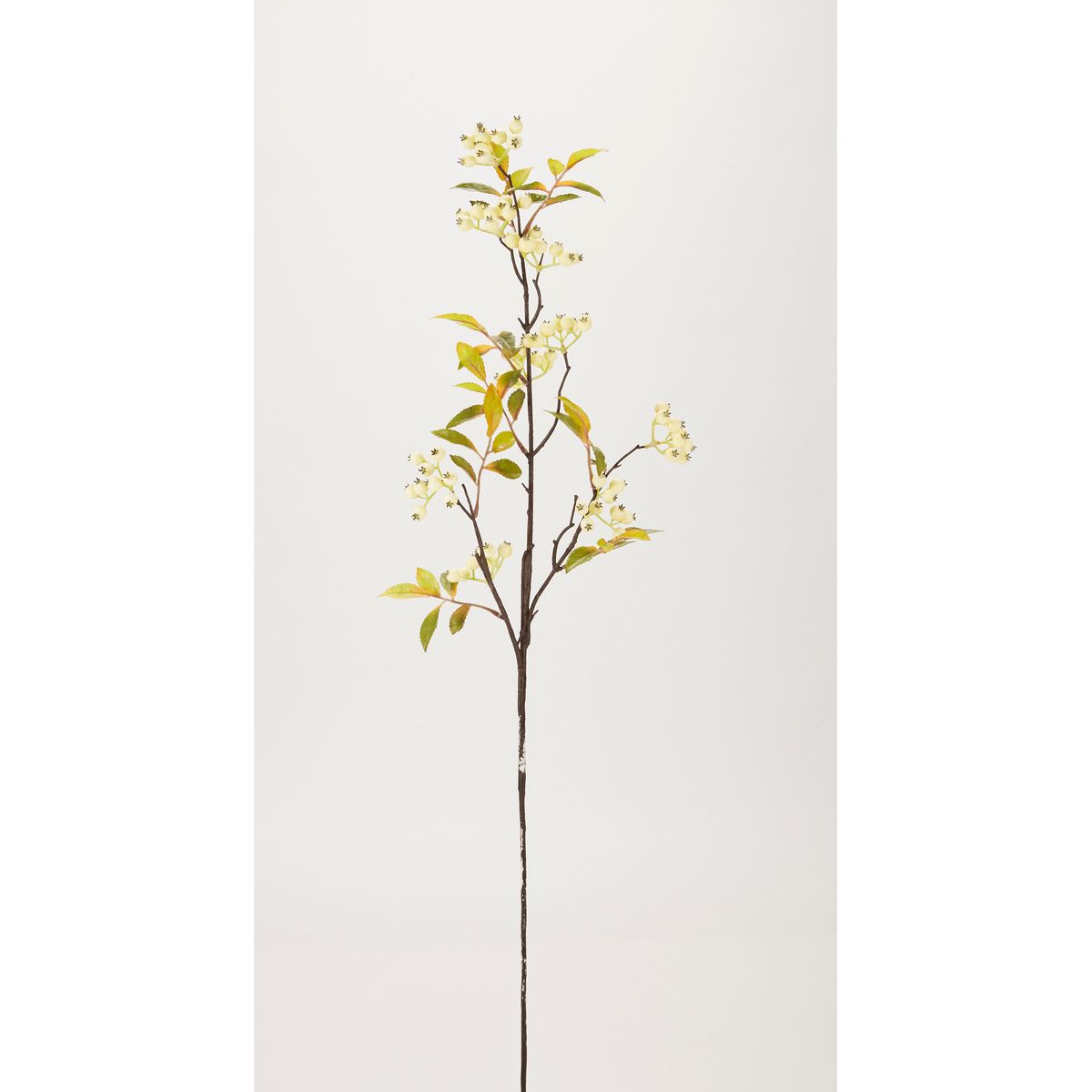 特価◎【造花】ビダヤコム/ホワイトベリーブランチ ホワイト/G7493-001W