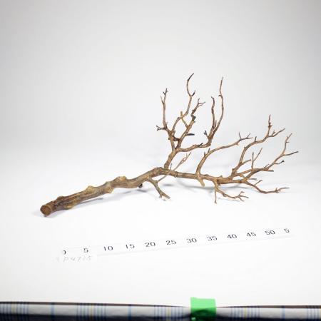 特価◎【造花】ビダヤコム/デコレーションブランチ ブラウン/P4735-008BR