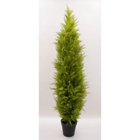 特価◎【直送】【人工観葉植物】ビダヤコム/ゴールドクレストポット(XL) グリーン/FD3166-024G ※返品・代引・キャンセル不可