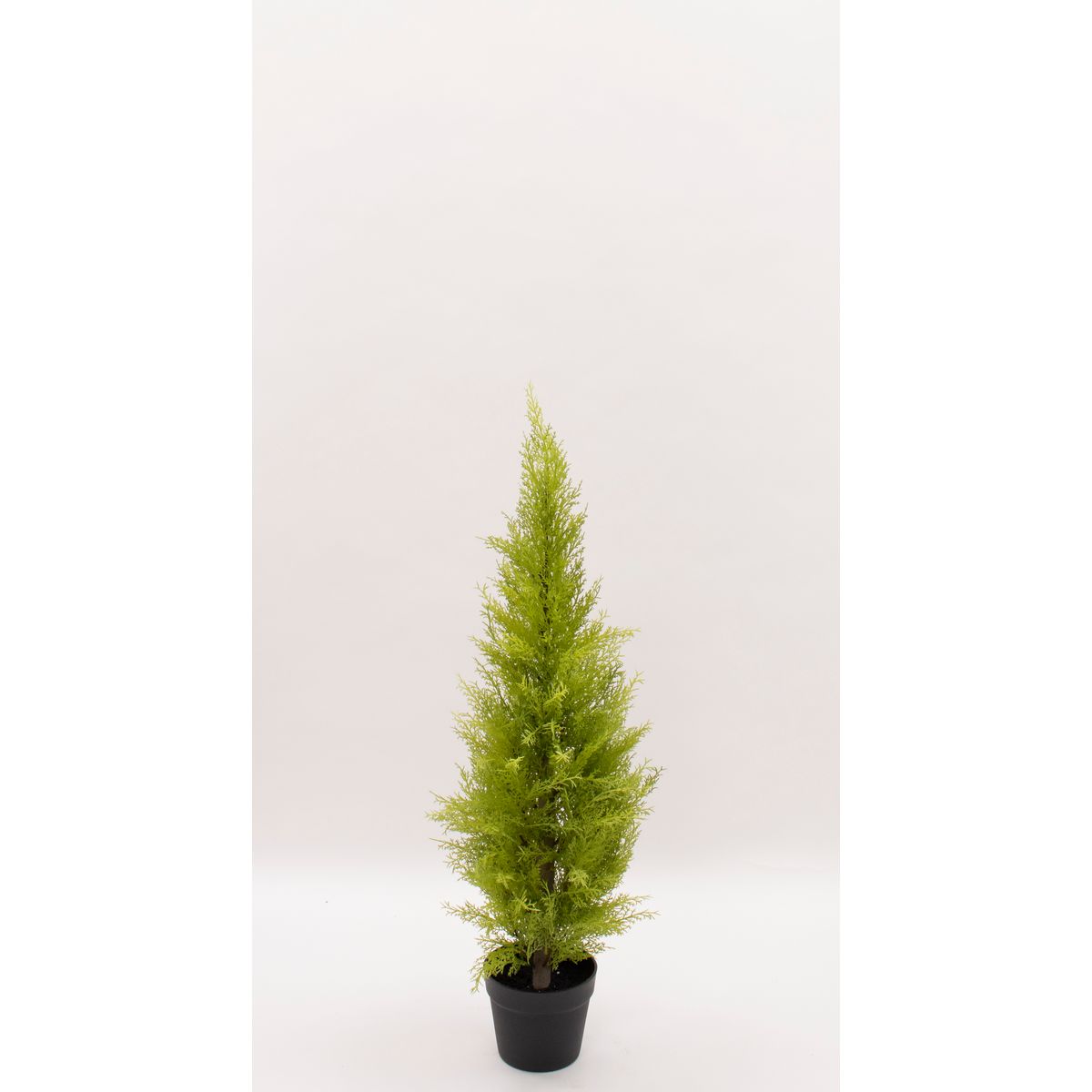 特価◎【直送】【人工観葉植物】ビダヤコム/ゴールドクレストポット(S) グリーン/FD3167-024G ※返品・代引・キャンセル不可