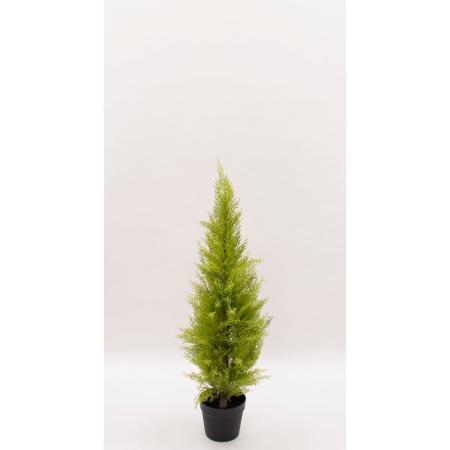 特価◎【直送】【人工観葉植物】ビダヤコム/ゴールドクレストポット(S) グリーン/FD3167-024G ※返品・代引・キャンセル不可