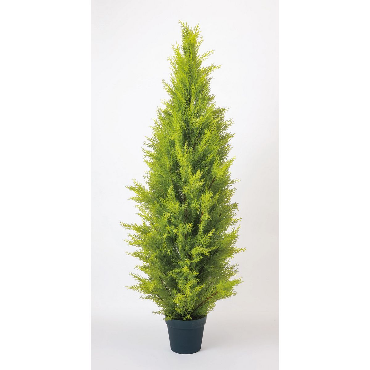 特価◎【直送】【人工観葉植物】ビダヤコム/ゴールドクレストポット(L) グリーン/FD3704-024G ※返品・代引・キャンセル不可