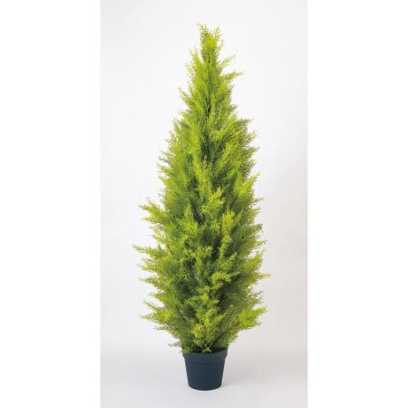 特価◎【直送】【人工観葉植物】ビダヤコム/ゴールドクレストポット(L) グリーン/FD3704-024G ※返品・代引・キャンセル不可