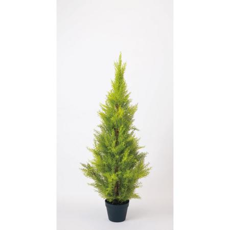 特価◎【直送】【人工観葉植物】ビダヤコム/ゴールドクレストポット(M) グリーン/FD3705-024G ※返品・代引・キャンセル不可