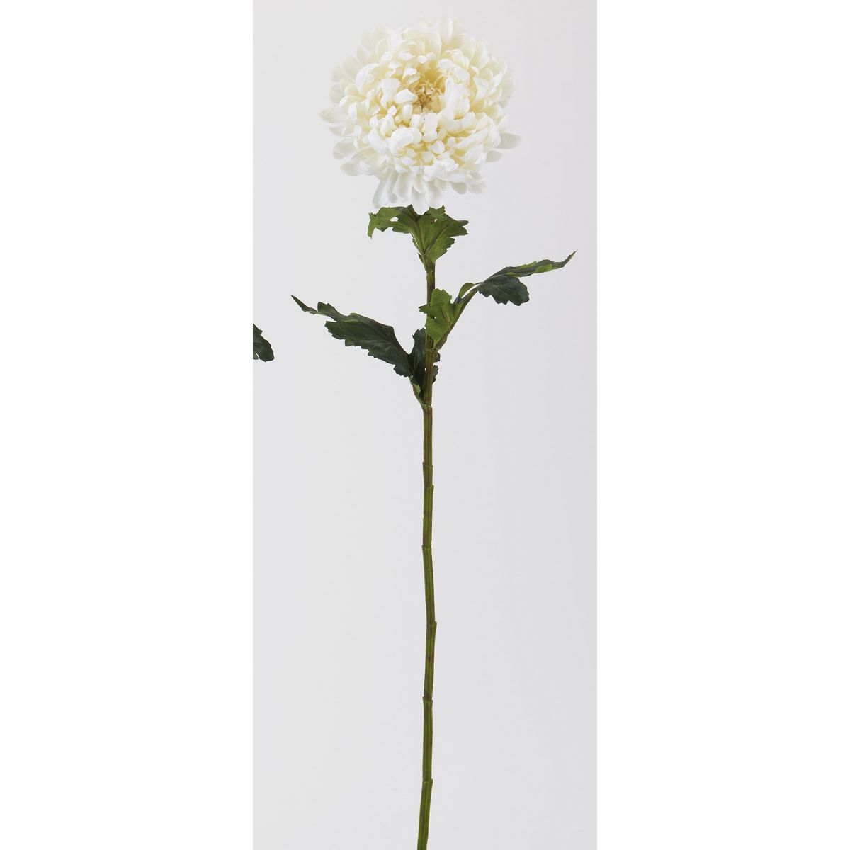 特価◎【造花】ビダヤコム/皇帝菊 ホワイト/GA0246-001W