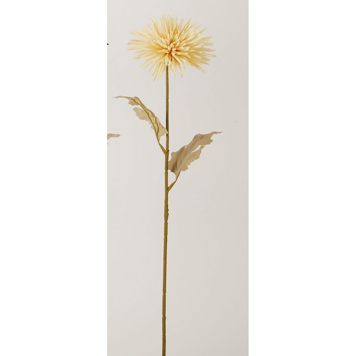特価◎【造花】ビダヤコム/アンティークスパイダーマム ベージュ/P4851-013BEIGE