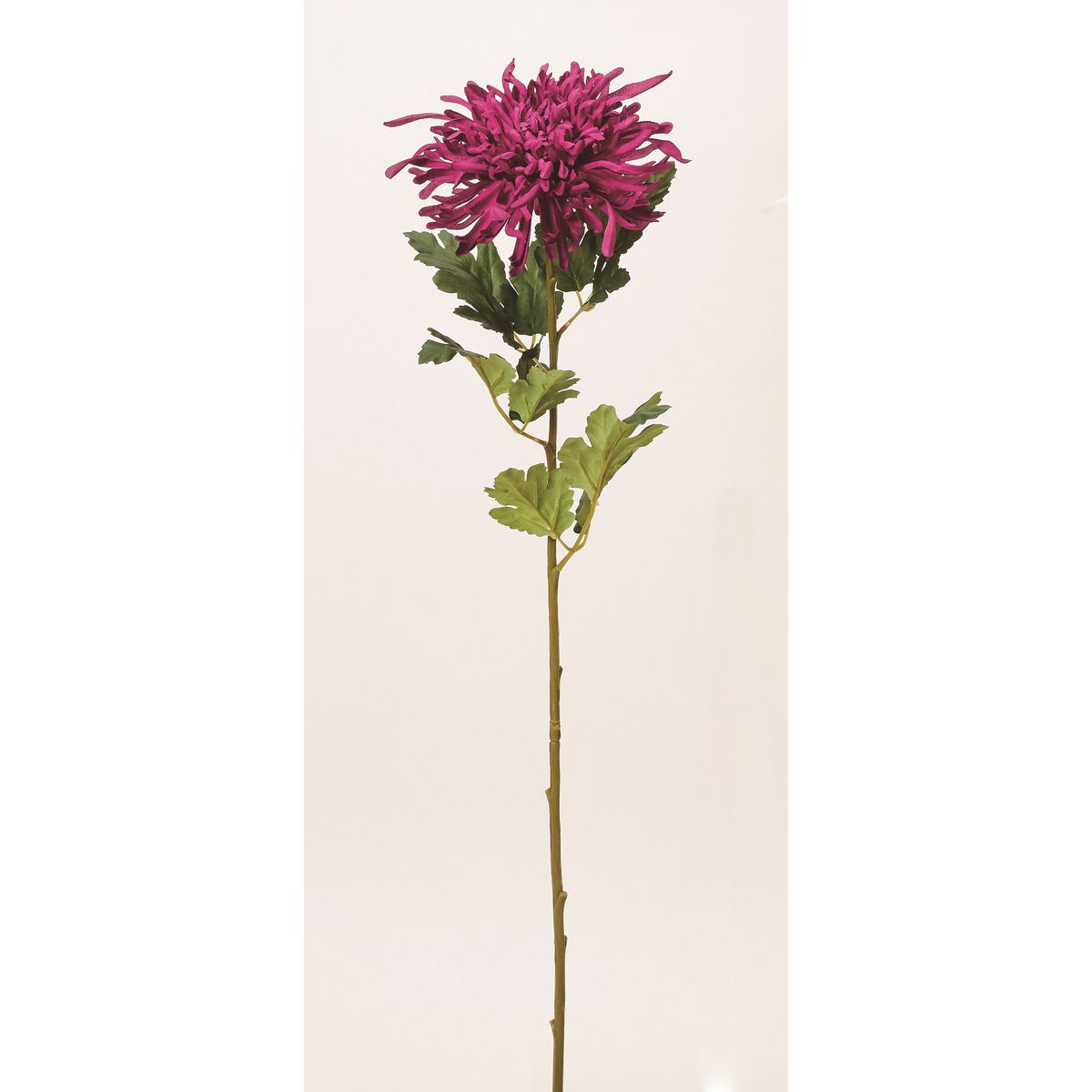 特価◎【造花】ビダヤコム/錦冠菊 バーガンディ/F5008-007BUR