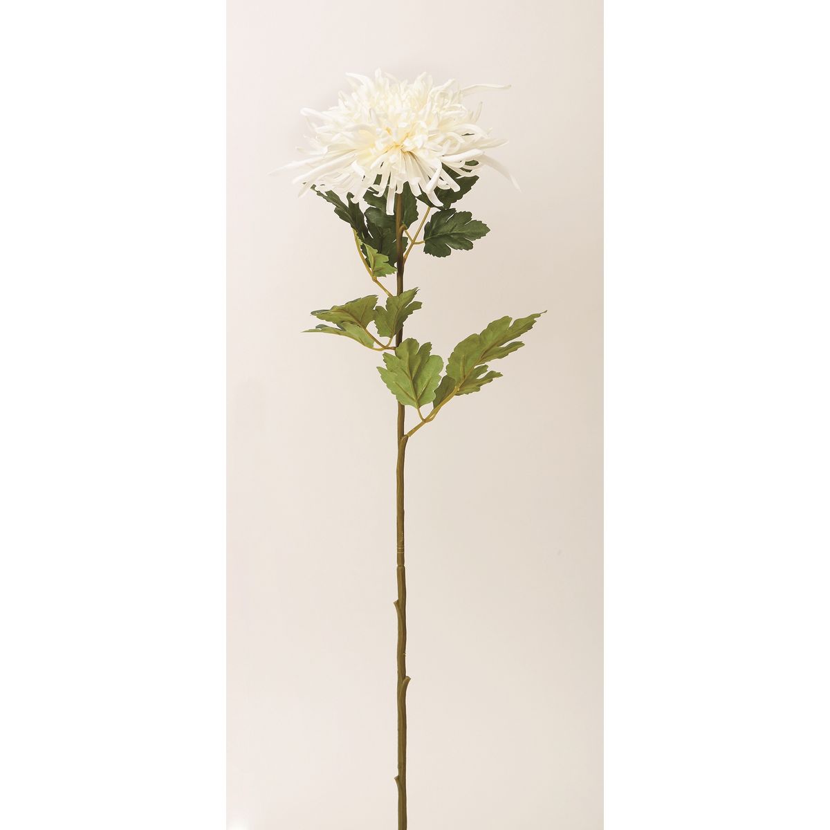 特価◎【造花】ビダヤコム/錦冠菊 クリーム/F5008-037C