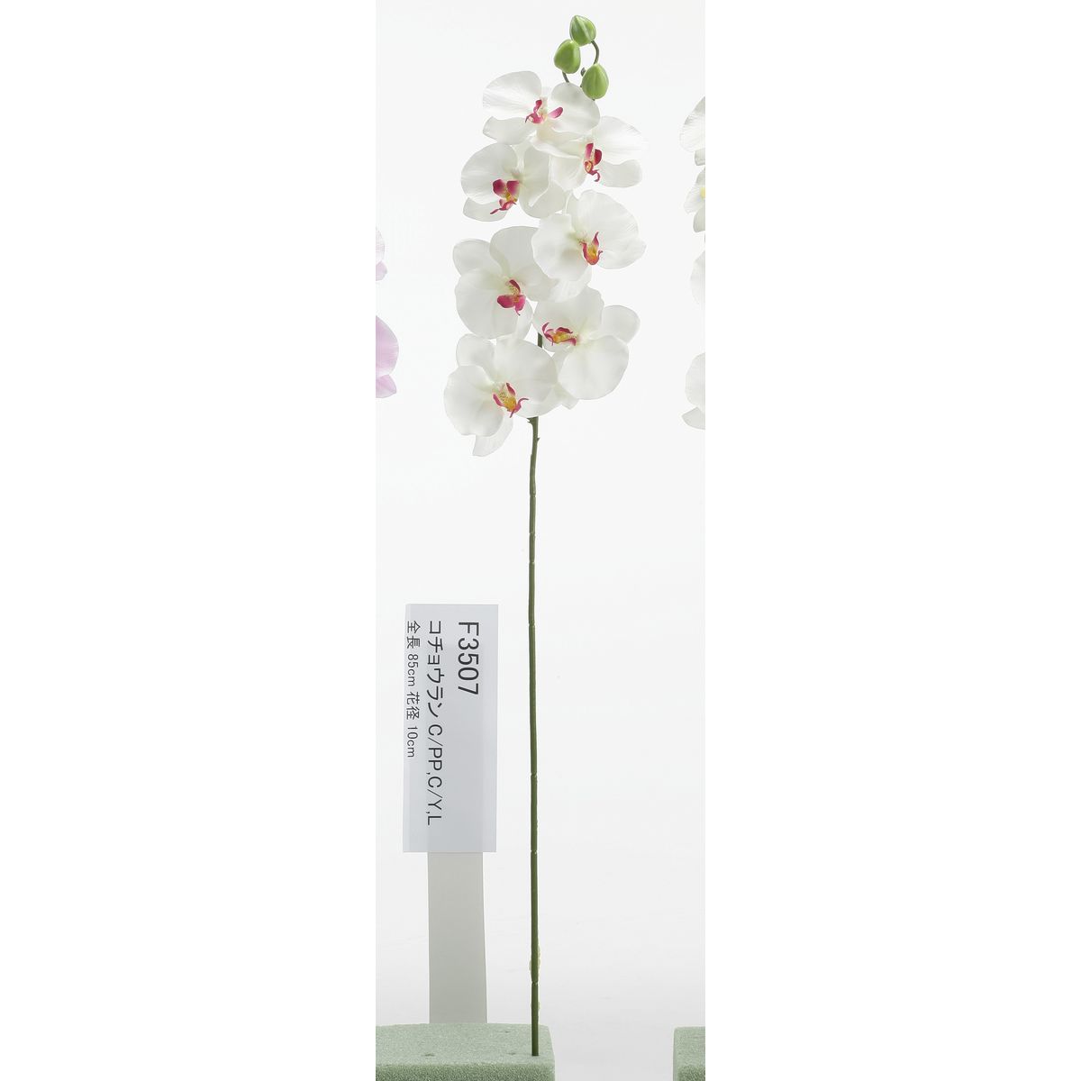 特価◎【造花】ビダヤコム/コチョウラン ホワイト/オーキッド/F3507-112W/ORC