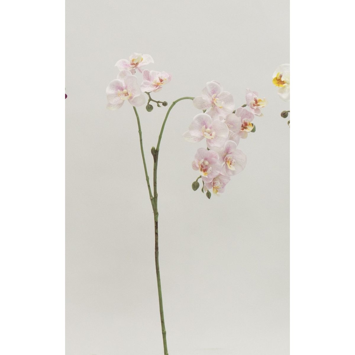 特価◎【造花】ビダヤコム/ミニファレノプシススプレー ピンク/V22075-002P