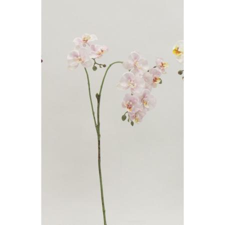 特価◎【造花】ビダヤコム/ミニファレノプシススプレー ピンク/V22075-002P