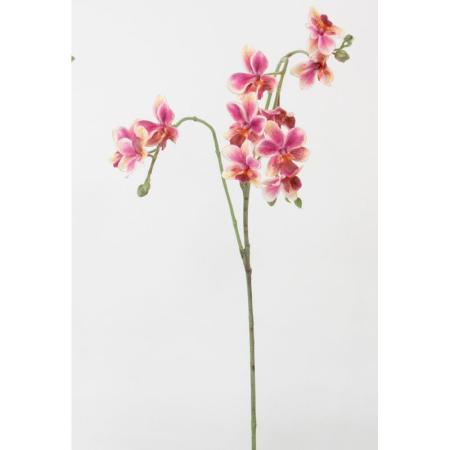 特価◎【造花】ビダヤコム/トウィンクルオーキッド ビューティ/V25014-016BTY