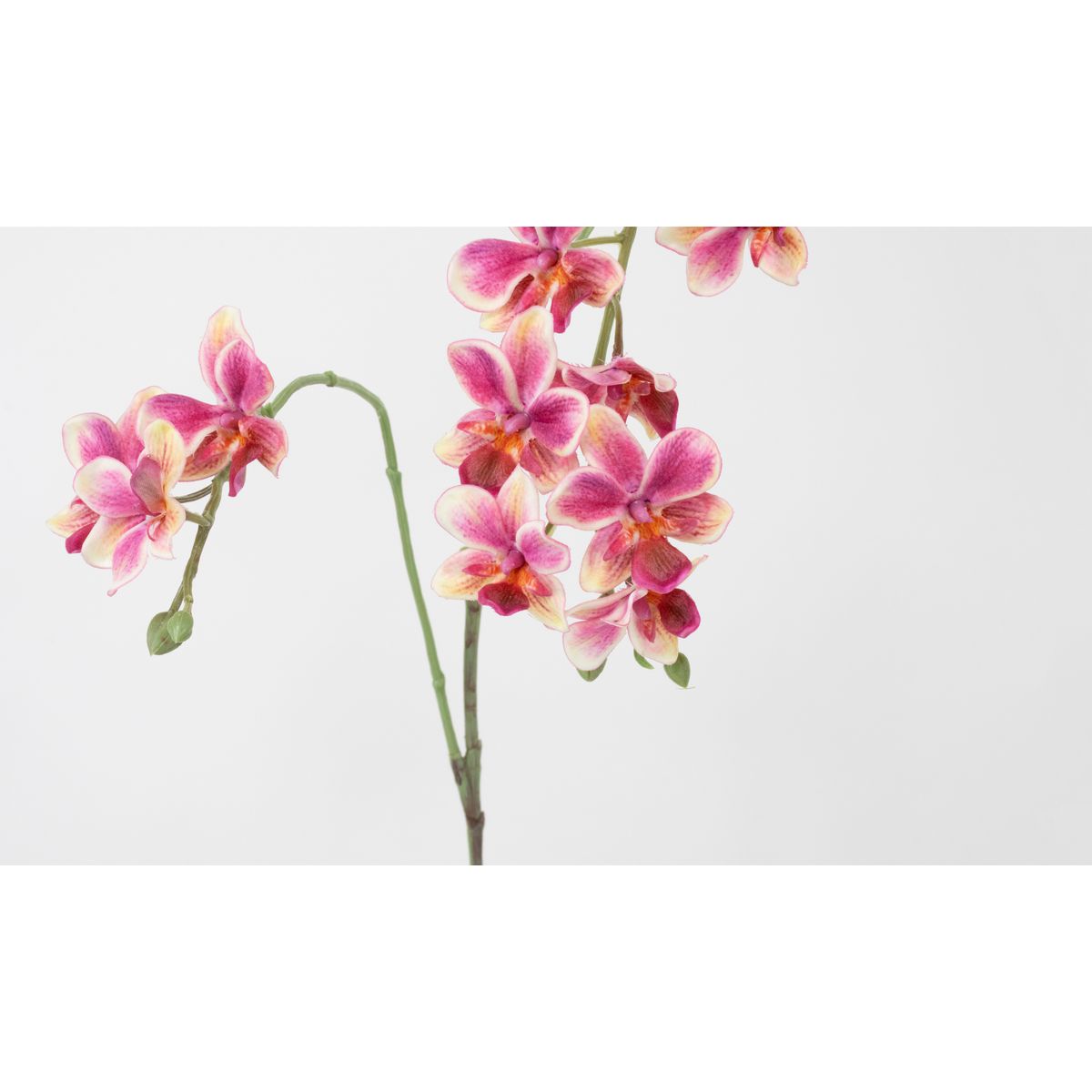 特価◎【造花】ビダヤコム/トウィンクルオーキッド ビューティ/V25014-016BTY