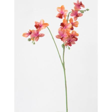特価◎【造花】ビダヤコム/トウィンクルオーキッド コーラル/V25014-067COR