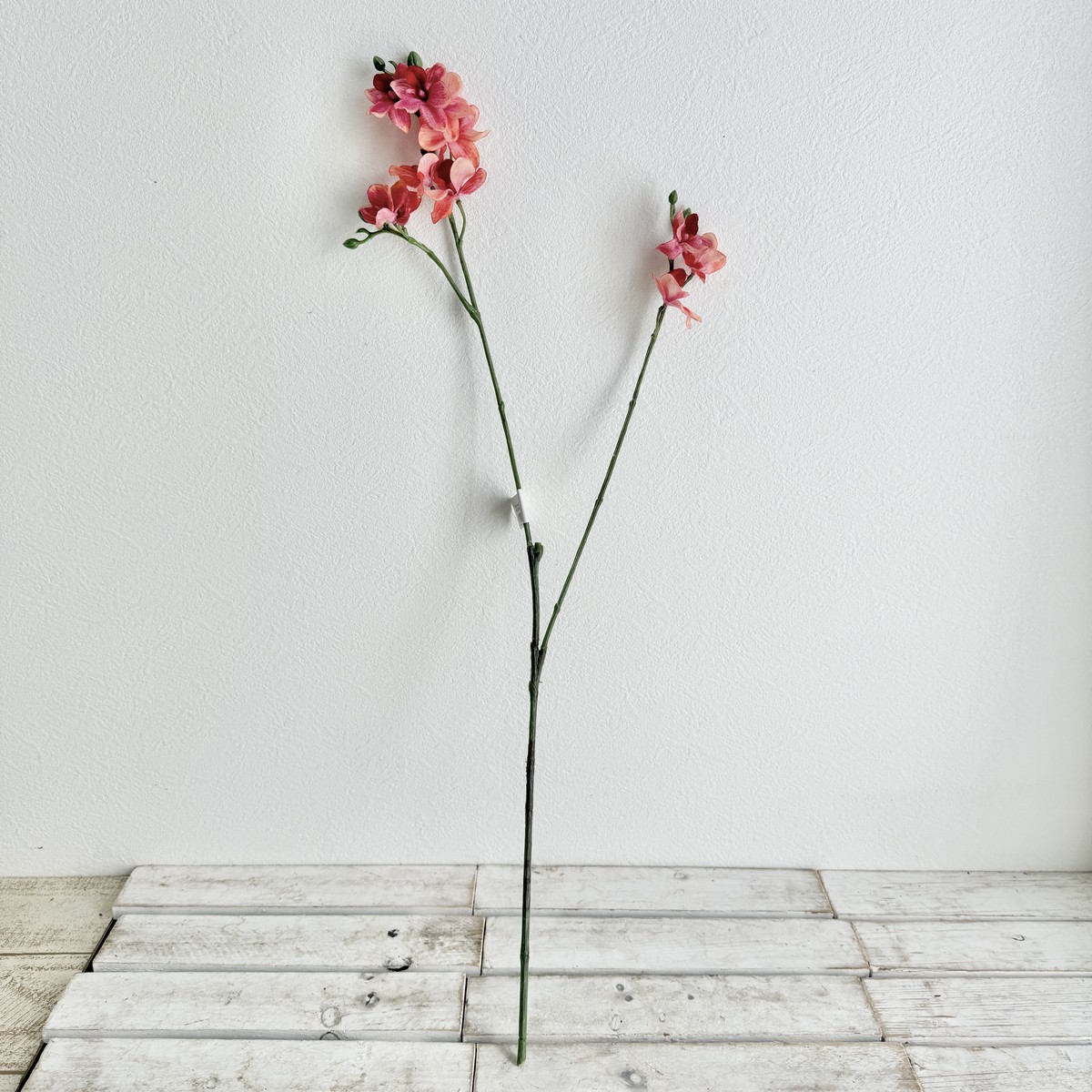 アウトレット◎即日★【造花】ビダヤコム/トウィンクルオーキッド コーラル/V25014-067COR