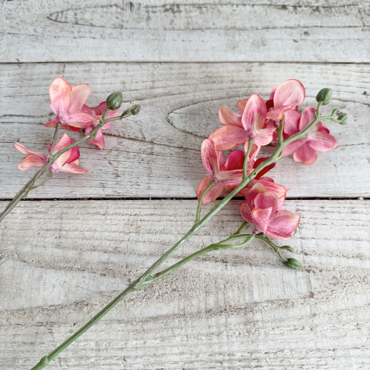 アウトレット◎即日★【造花】ビダヤコム/トウィンクルオーキッド コーラル/V25014-067COR