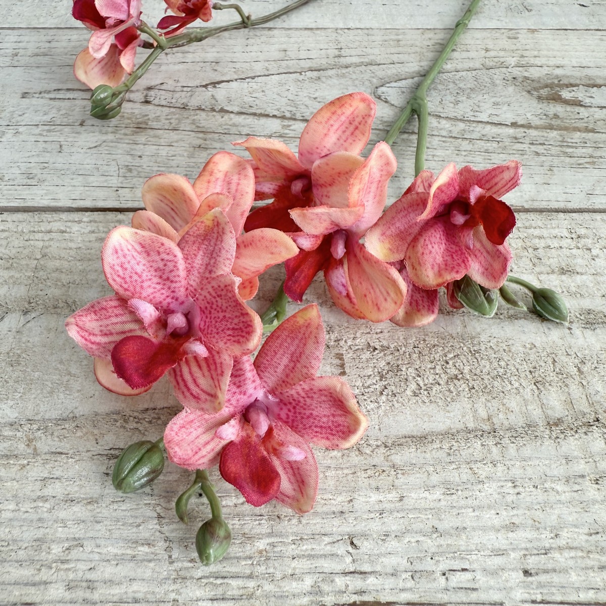 アウトレット◎即日★【造花】ビダヤコム/トウィンクルオーキッド コーラル/V25014-067COR
