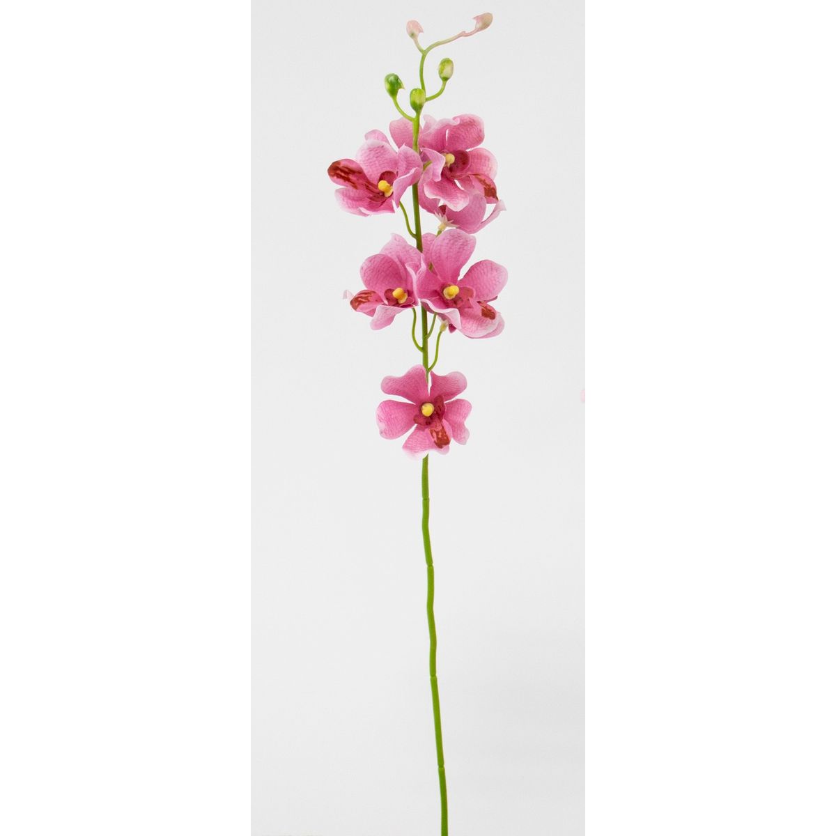 特価◎【造花】ビダヤコム/グレースモカラ モーブ/V25022-042MAU