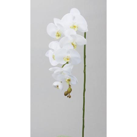 特価◎【造花】ビダヤコム/ファレノプシス ホワイト/J0423-001W