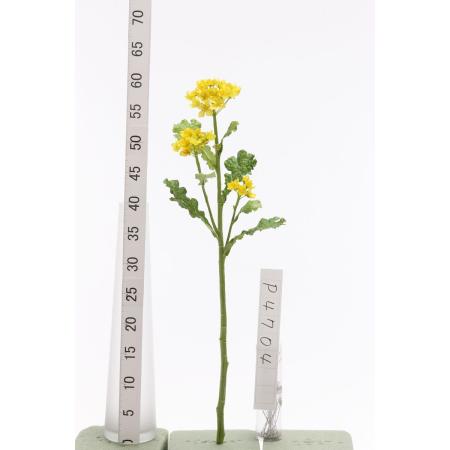特価◎【造花】ビダヤコム/菜の花 イエロー/P4704-004Y