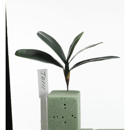 特価◎【造花】ビダヤコム/ラージオーキッドリーフ グリーン/T0111-024G