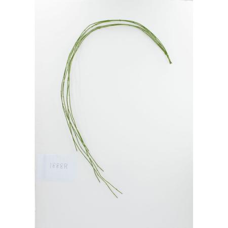 特価◎【造花】ビダヤコム/ツイッグアソート(6本/束) グリーン/1888R-024G