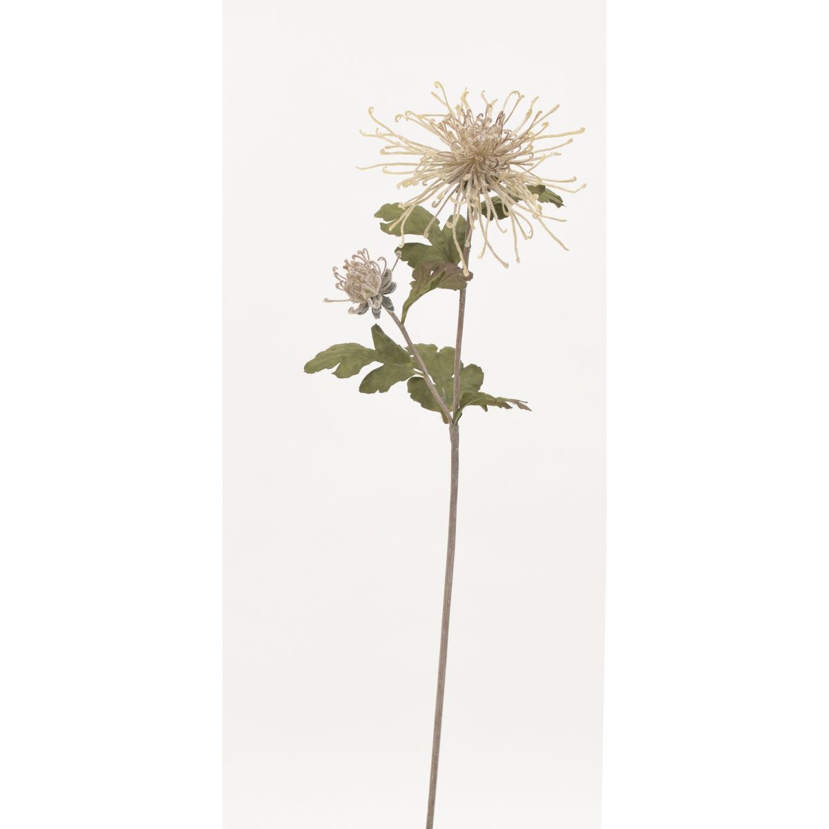 特価◎【造花】ビダヤコム/乱菊 ベージュ/J0440-013BEIGE