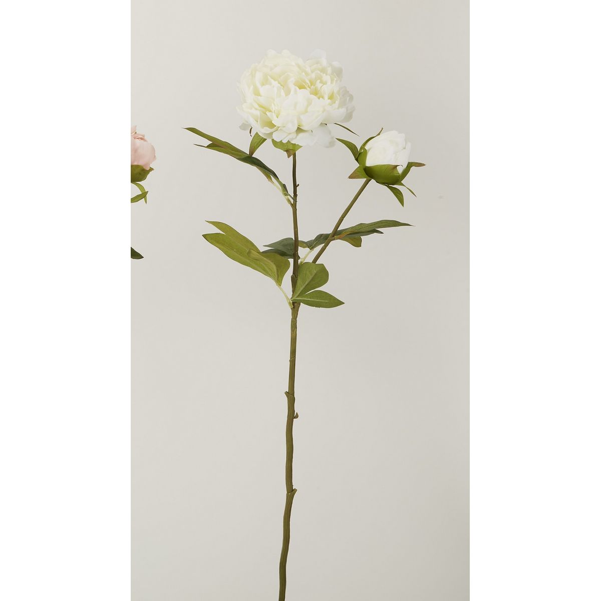 特価◎【造花】ビダヤコム/姫芍薬 ホワイト/T0340-001W