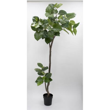 特価◎【直送】【人工観葉植物】ビダヤコム/Planeco ウンベラータポット(組立式)/VR22013-024G ※返品代引キャンセル不可