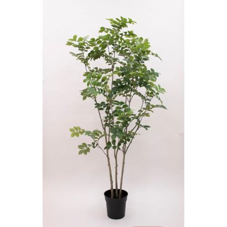 特価◎【直送】【人工観葉植物】ビダヤコム/Planeco トネリコポット/VR22020-024G ※返品代引キャンセル不可