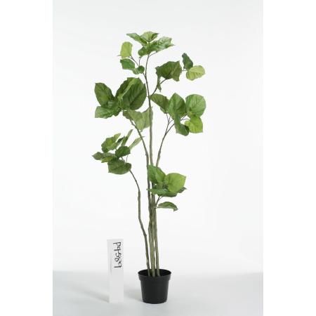特価◎【直送】【人工観葉植物】ビダヤコム/Planeco ウンベラータポット/VR22023-024G ※返品代引キャンセル不可
