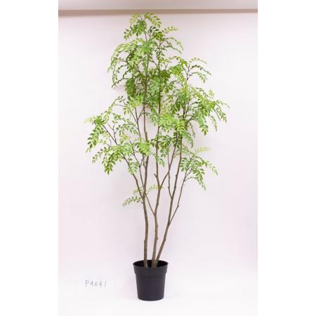 特価◎【直送】【人工観葉植物】ビダヤコム/Planeco シマトネリコポット/VR22029-024G ※返品代引キャンセル不可