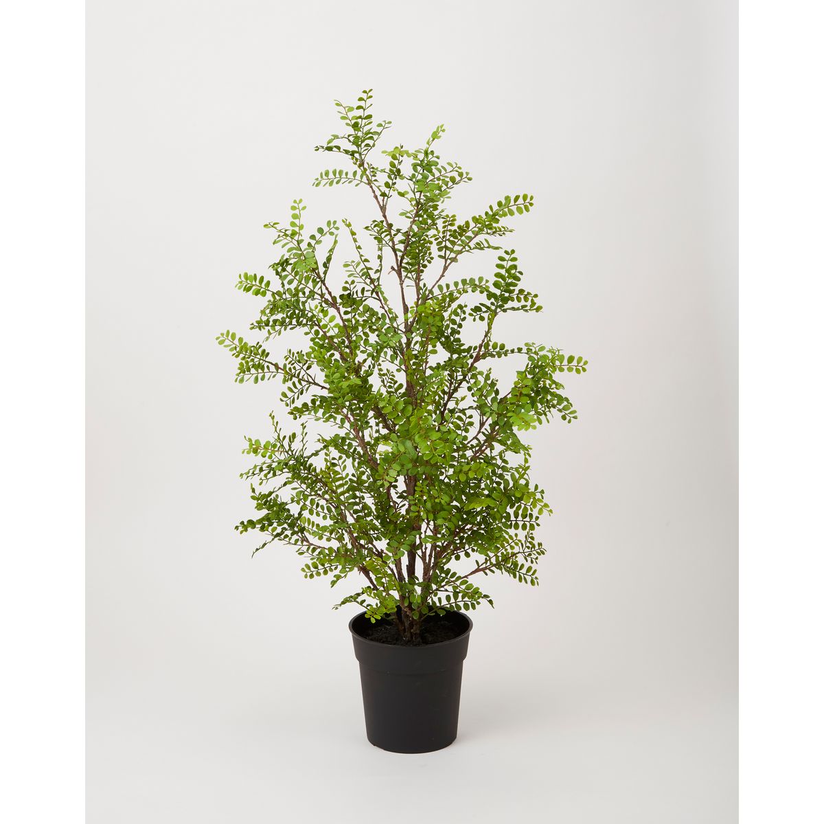 特価◎【直送】【人工観葉植物】ビダヤコム/Planeco シルクジャスミンポット/VR22031-024G ※返品代引キャンセル不可
